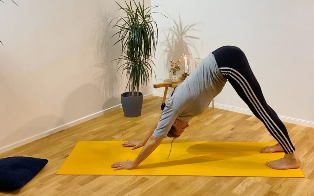 Hatha Yoga – flex your spine and breathe