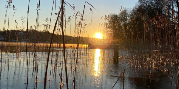 Stresshantering - kurs med coaching